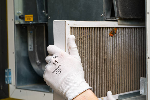 Best Emergency Air Duct Cleaning  in Lakewood Ranch, FL